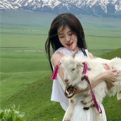 莫滕船长与蜘蛛女王