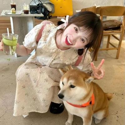 水牛骑士